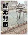 《[综]美人何处归》