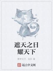 《遮天之日耀天下》
