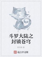 《斗罗大陆之封锁苍穹》