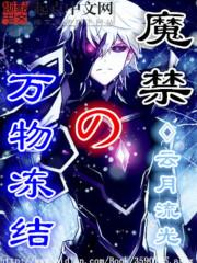 《魔禁之万物冻结》